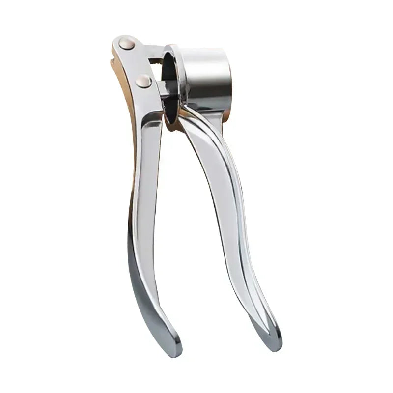 Stainless Steel Garlic Press Crusher